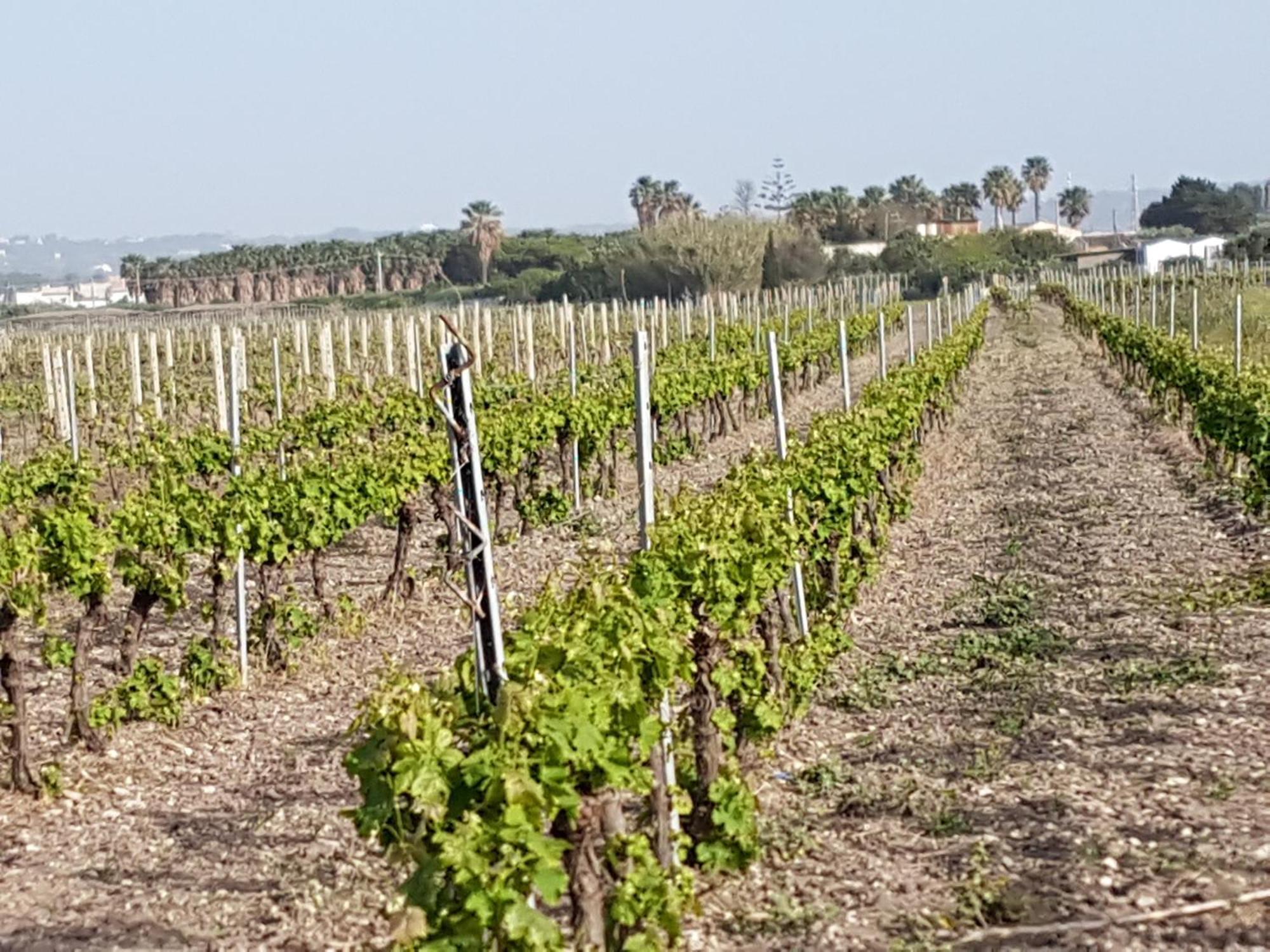 Santa Venera Home Marsala Esterno foto